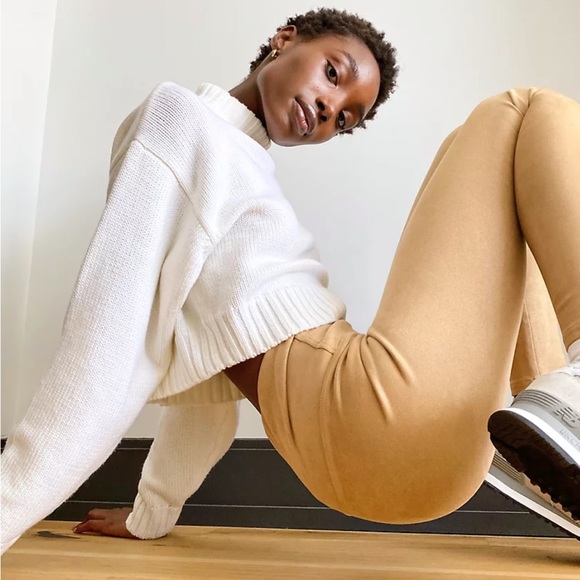 ARITZIA WILFRED free suede pants SZ S - Picture 4 of 7